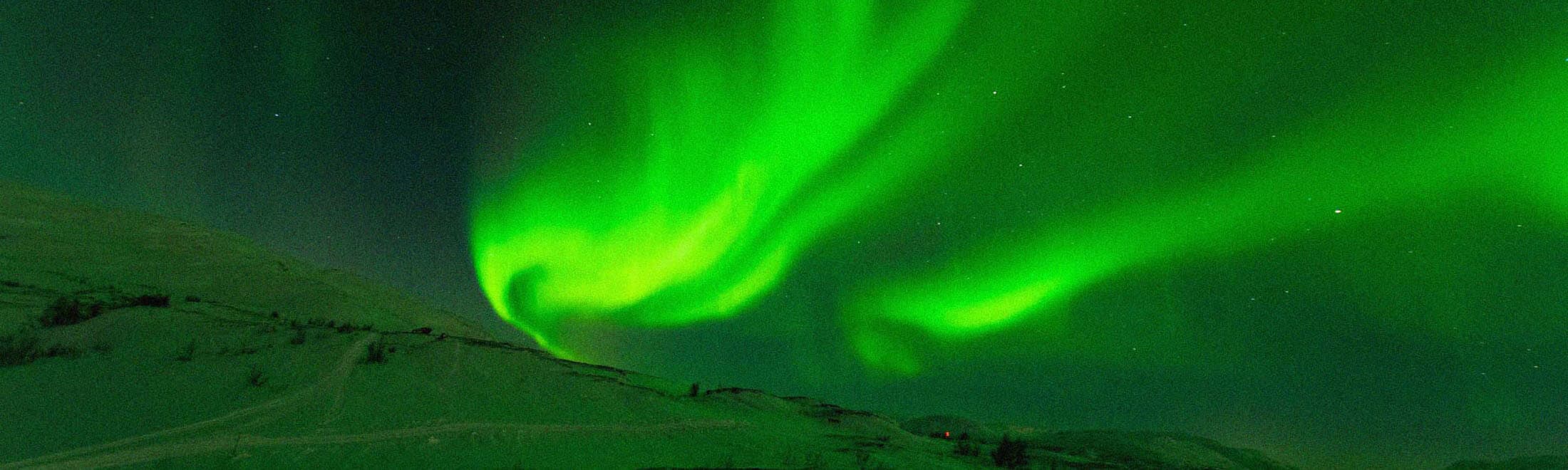 Abisko Northern Lights Tour