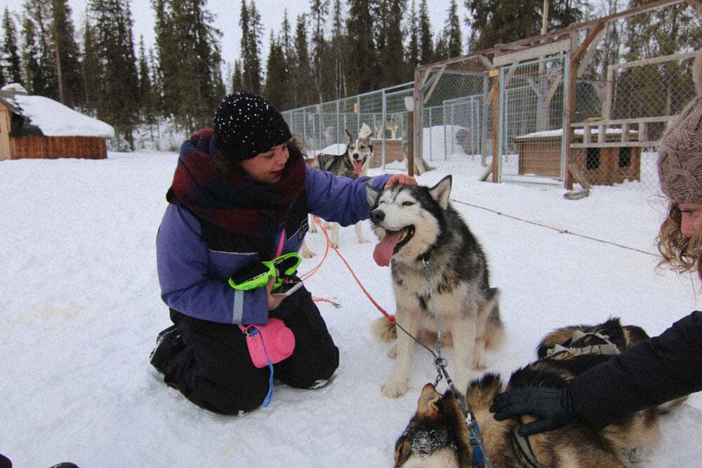 Arctic Dog Sledding Tour 4