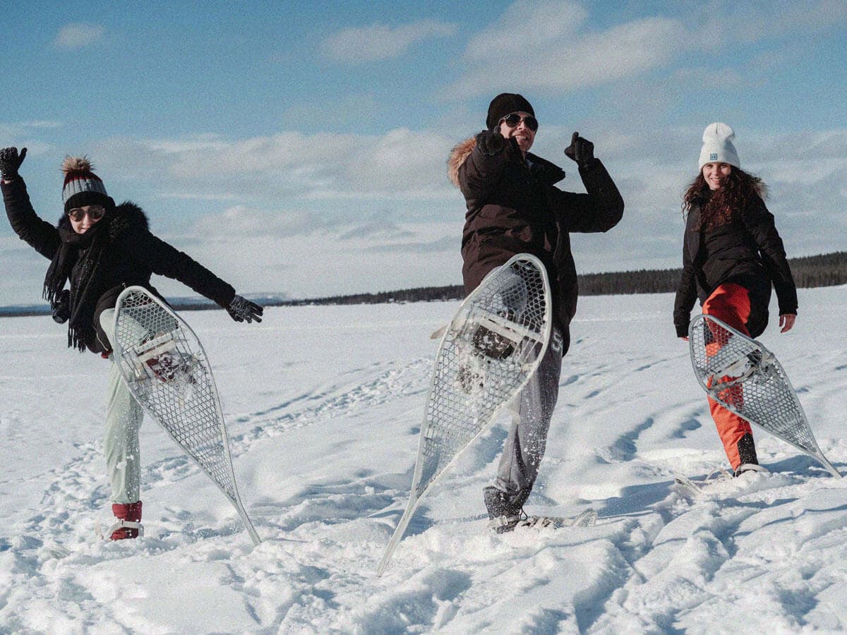 The North is calling you